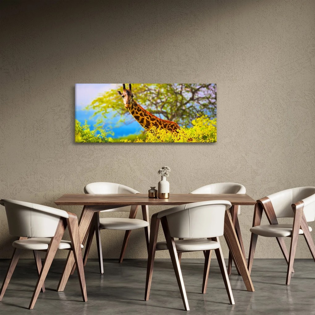 Obraz žirafy v Afrike (120x50 cm)