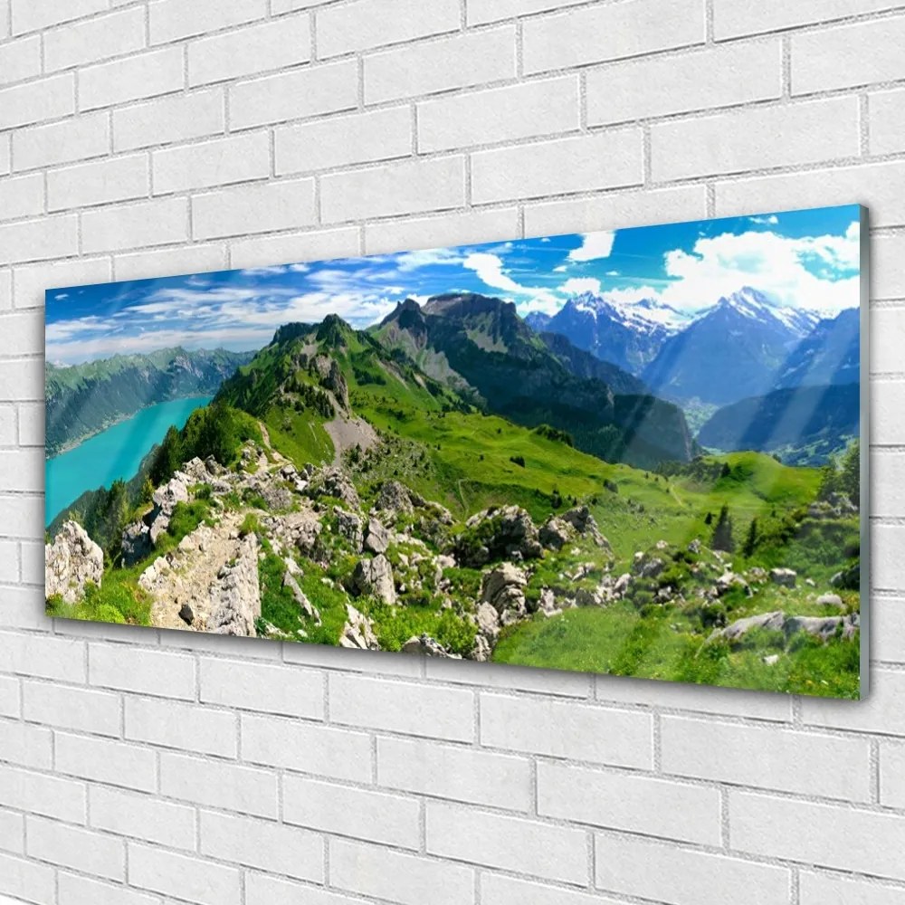 Obraz plexi Lúka hory príroda príroda 125x50 cm