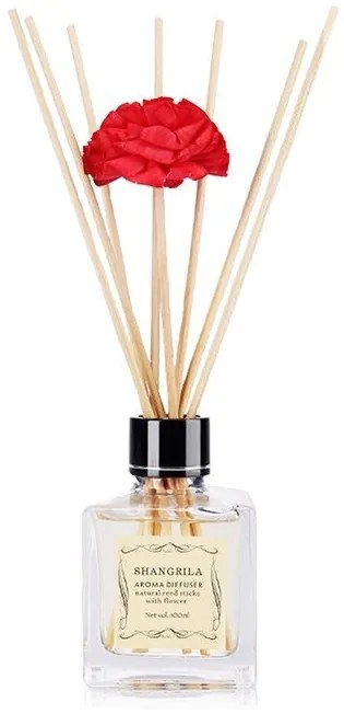 Aroma difuzér Elegant 100ml AP: Zelený bambus