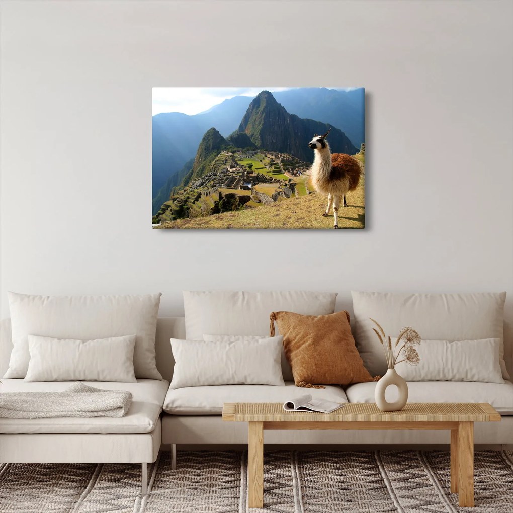 Obrázok - Lama a Machu Picchu (90x60 cm)