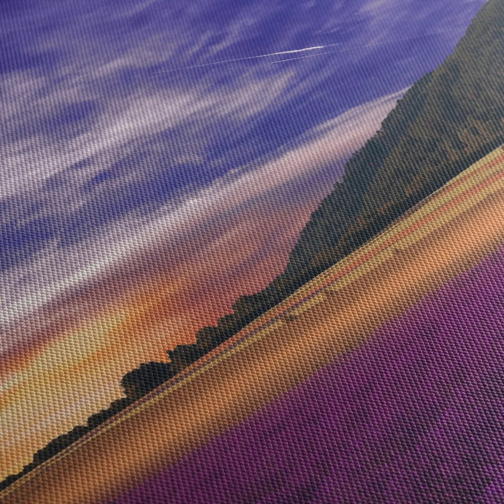 Obraz levanduľovej lúky (120x50 cm)
