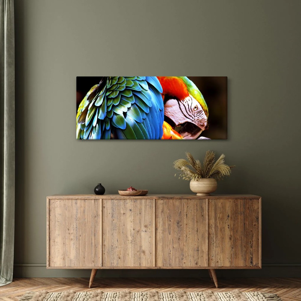 Obraz - Papagáj (120x50 cm)