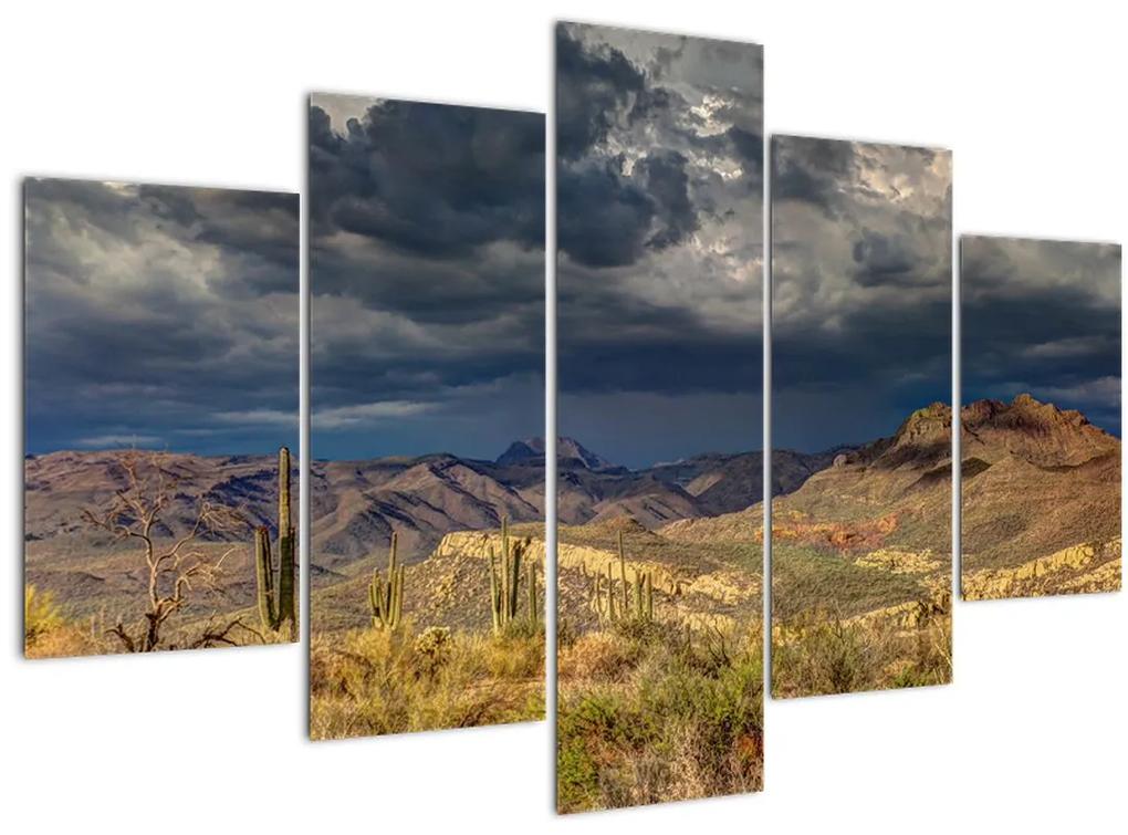 Obraz - kaktusy v prírode (150x105 cm)