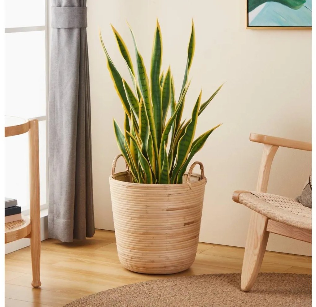 Eglo 426513 - Dekoračný kôš NARAHA 41x36 cm ratan