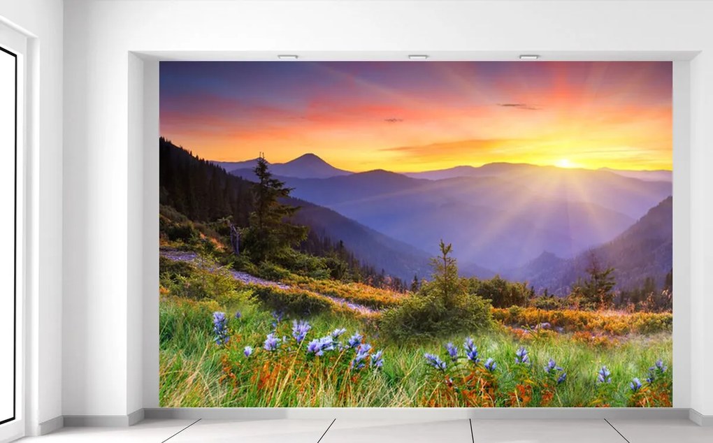 Gario Fototapeta Lúka v horách Materiál: Samolepiaca, Rozmery: 536 x 240 cm