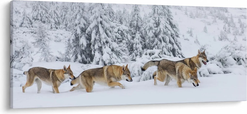 Obraz - Vlci v horách (120x50 cm)