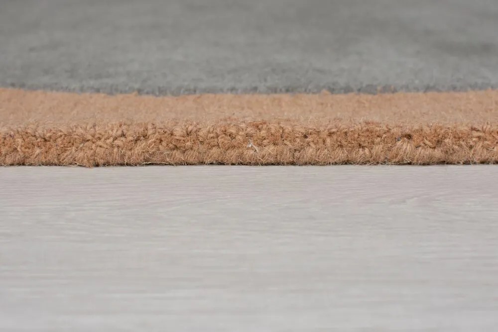 Flair Rugs, Kusový koberec Moderno Esre Multi, 160x230, viacfarebná, obývacia izba