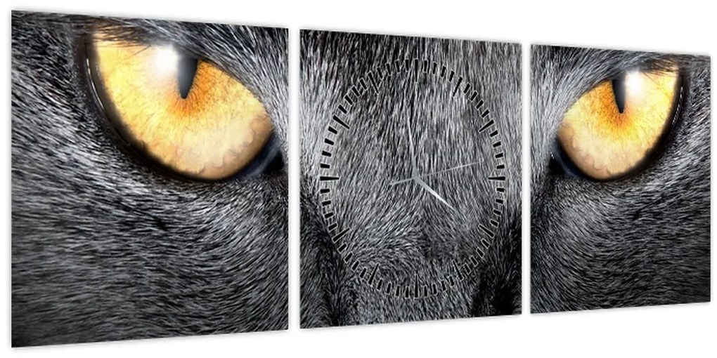 Obraz - Blízky portrét mačky (s hodinami) (90x30 cm)