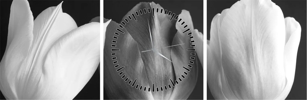 Obraz - Čiernobiele kvety tulipánov (s hodinami) (90x30 cm)