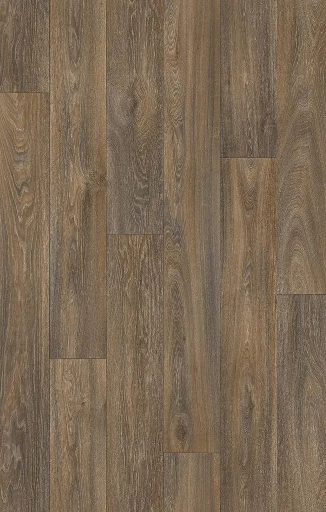 Beauflor, PVC podlaha - lino Ambient Havanna Oak 669D, na mieru, šíře 3m,4m, hnedá, bez podkladu, chodba / predsieň