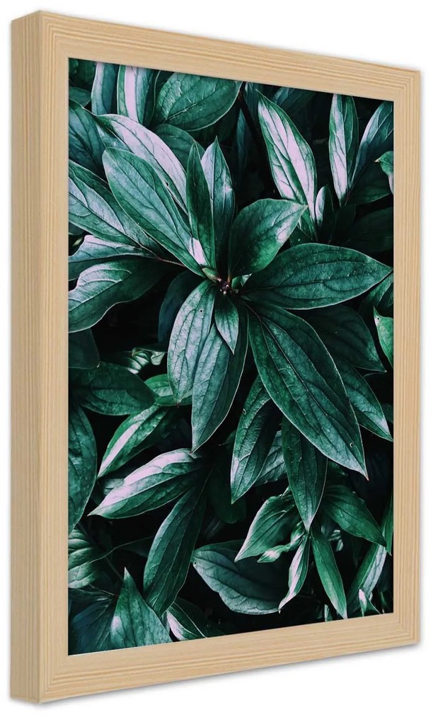 Gario Plagát Fascinujúce listy Farba rámu: Bez rámu, Rozmery: 30 x 45 cm