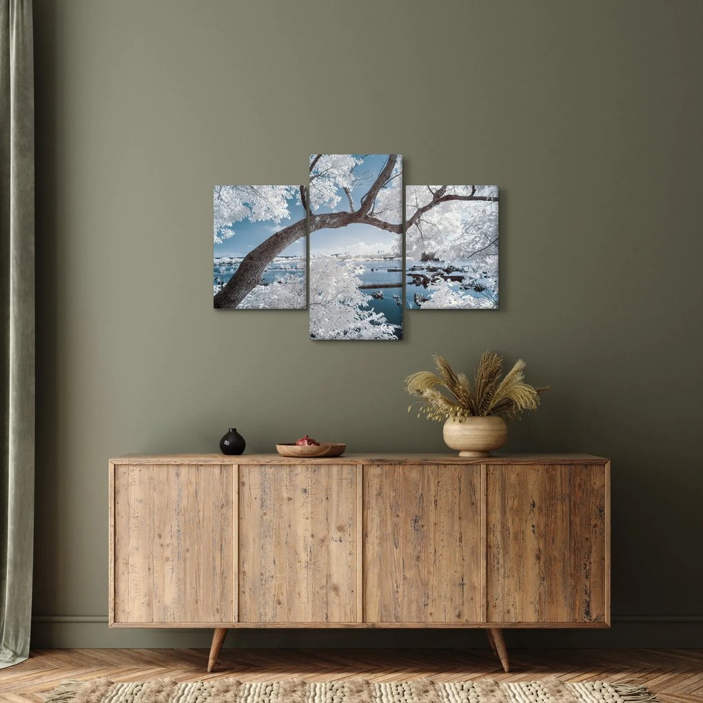 Obraz zasneženého stromu pri vode (90x60 cm)