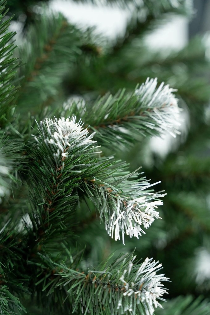 Limpol Jedľa Beata 1,80 m