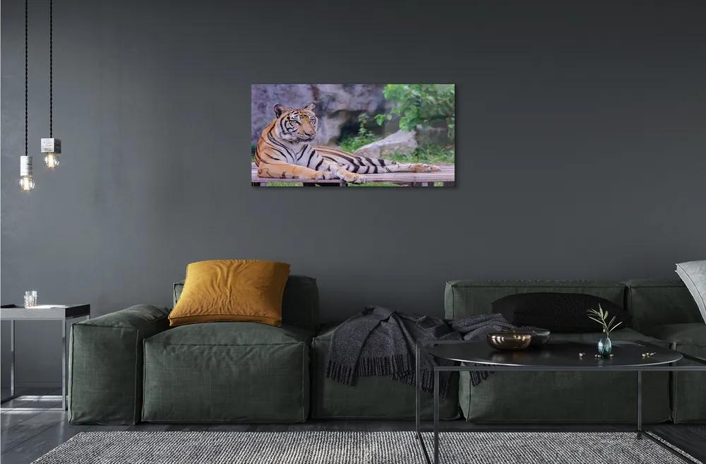 Sklenený obraz Tiger v zoo 100x50 cm