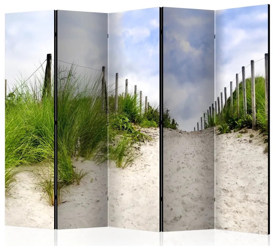 Artgeist Paraván - Path to the Sea II [Room Dividers]