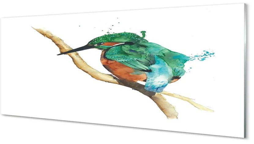 Obraz na akrylátovom skle Farebné maľované papagáj 120x60 cm