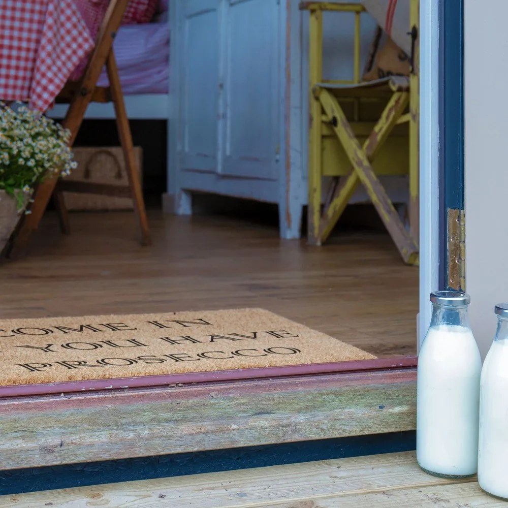 Rohožka z kokosového vlákna 40x60 cm Prosecco – Artsy Doormats