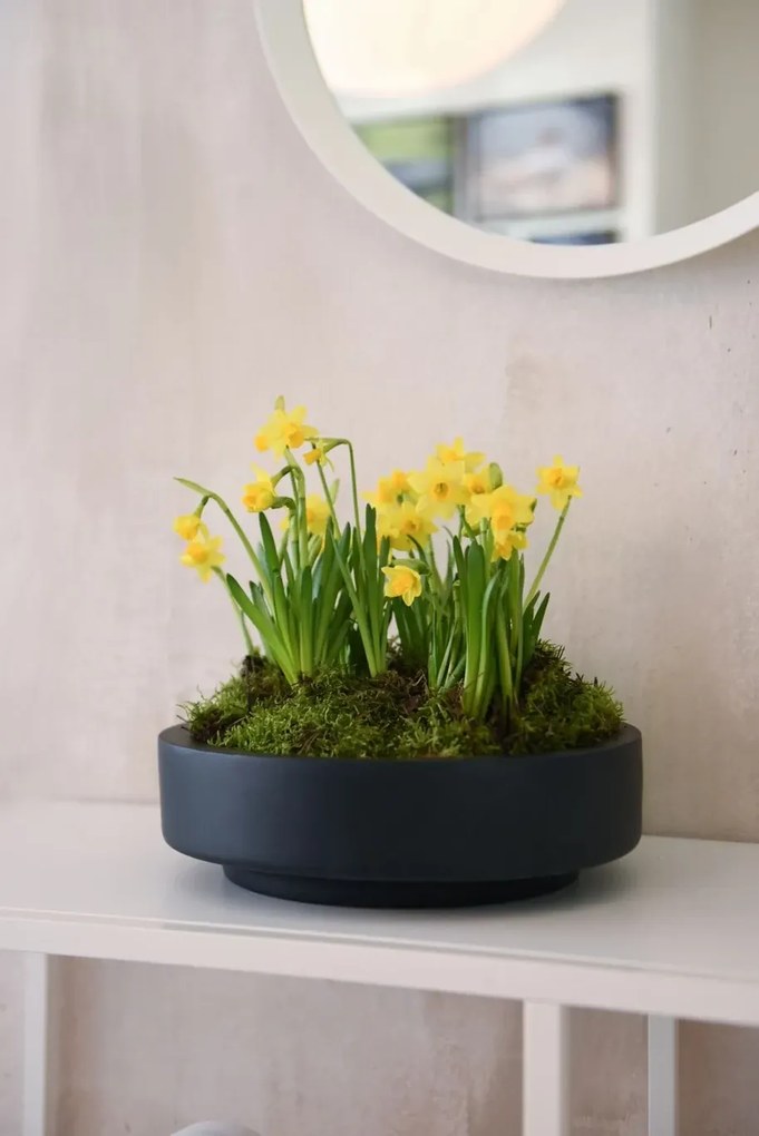 Misa na kvety ESCADA LOW, sklolaminát, priemer 30 cm, antracit