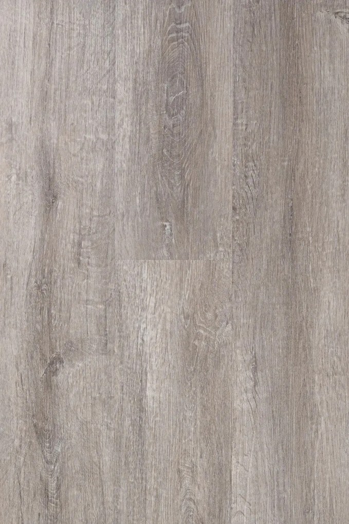 Egibi, Vinylová podlaha lepená Canadian Design Regina DRY BACK, 914,4 x 152,4 mm