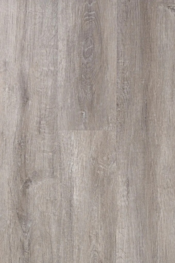 Egibi, Vinylová podlaha lepená Canadian Design Regina DRY BACK, 914,4x152,4 mm