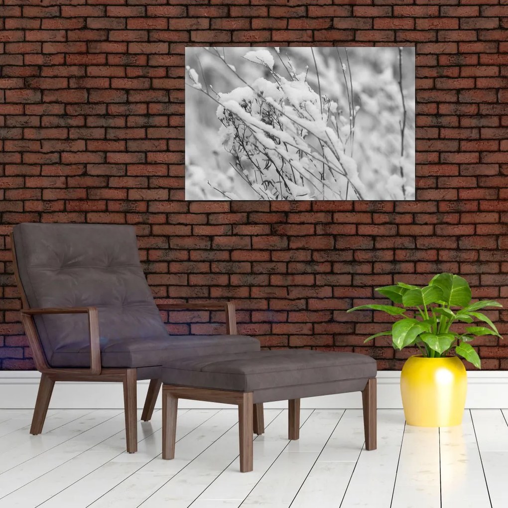 Obraz - Zasnežené vetvy (90x60 cm)
