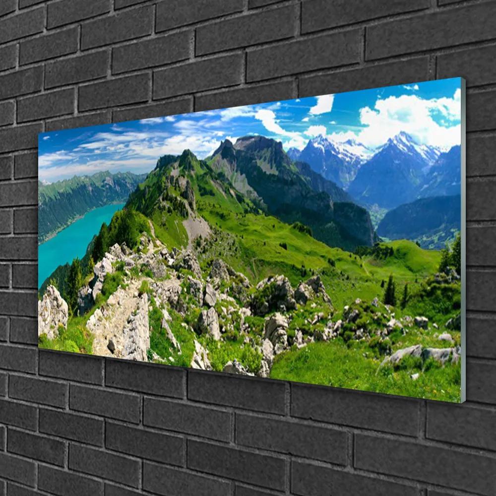 Skleneny obraz Lúka hory príroda príroda 100x50 cm