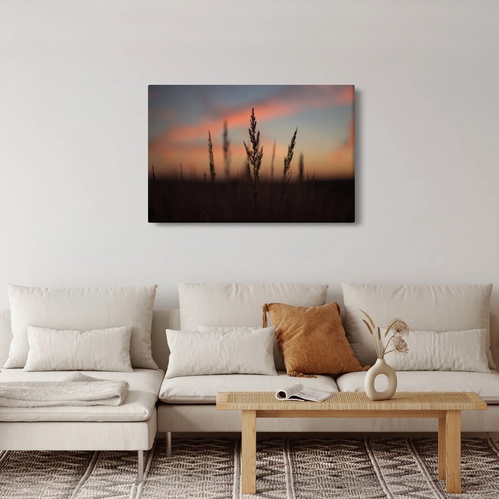 Obraz - Silueta rastliny (90x60 cm)
