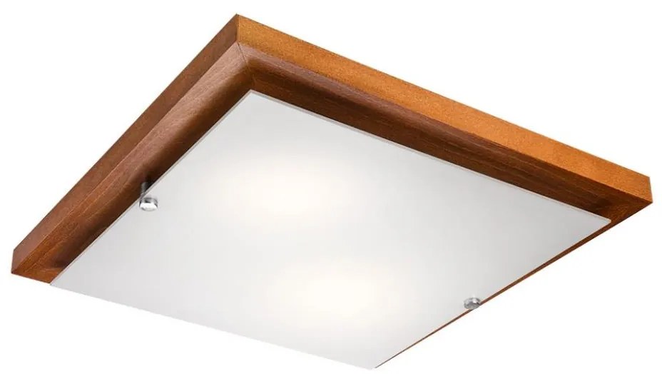 LED stropné svietidlo 1xLED/24W/230V buk