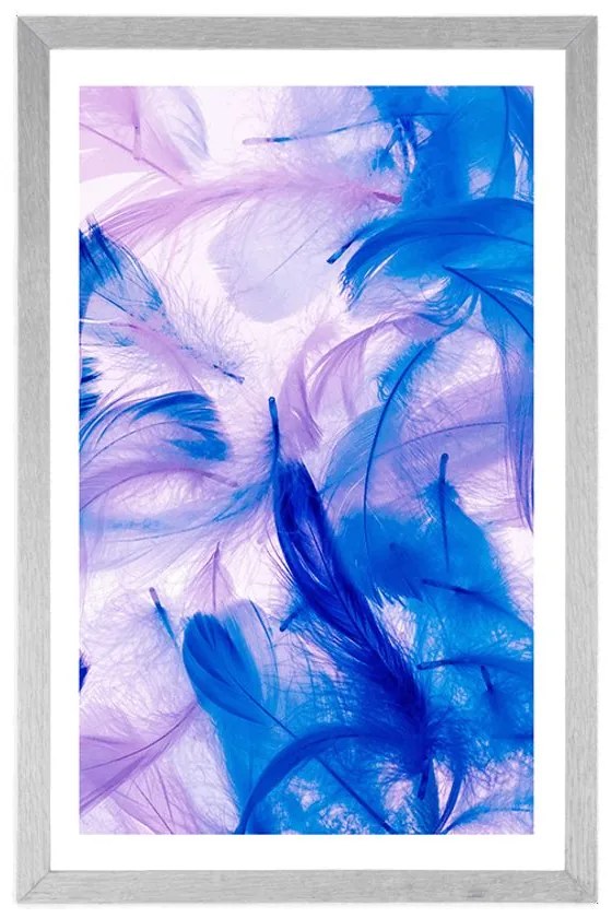 Plagát s paspartou nádherné pierka - 30x45 silver