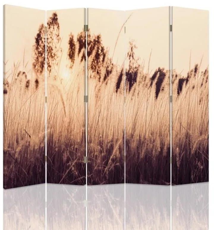 Ozdobný paraván Tráva Vintage béžová - 180x170 cm, päťdielny, obojstranný paraván 360°