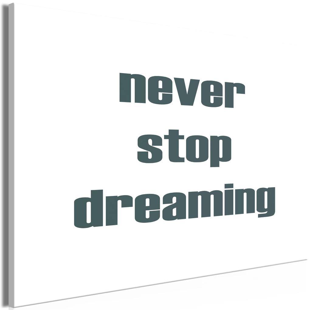 Artgeist Obraz - Never Stop Dreaming (1 Part) Wide Veľkosť: 120x80, Verzia: Na talianskom plátne