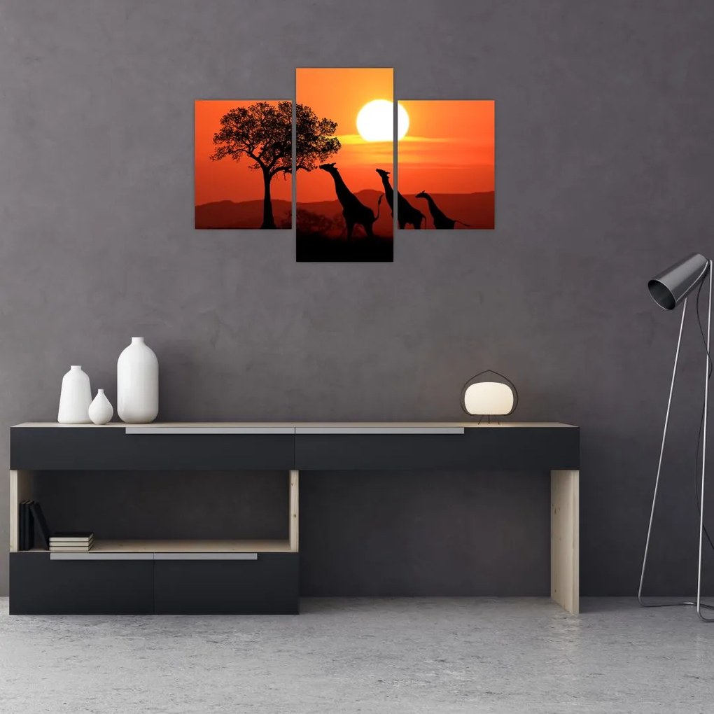 Obraz žirafy pri západe slnka (90x60 cm)