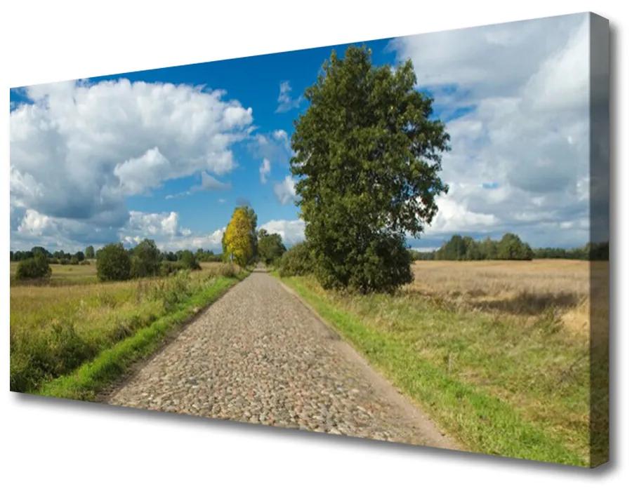 Obraz na plátne Dedina cesta dlažba krajina 120x60 cm