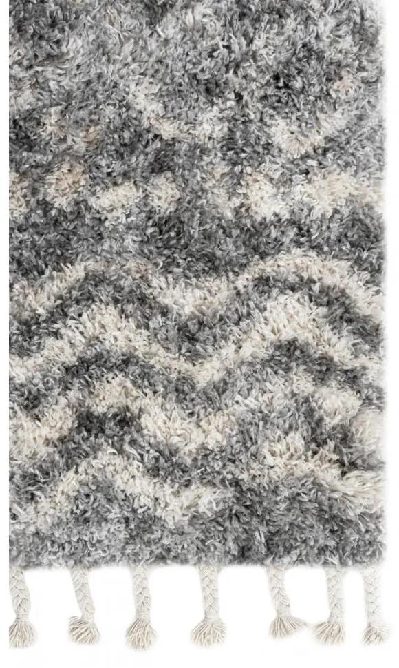 Kusový koberec shaggy Alsea sivý 140x200cm