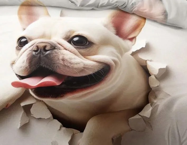 Obliečky BULLDOG WHITE 3-dielna sada 140x200 cm