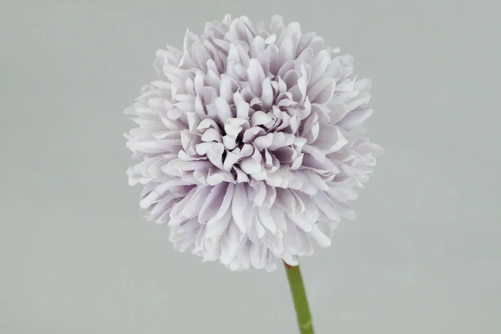 Kvet cesnaku, farba svetlo fialová 29x7x7cm