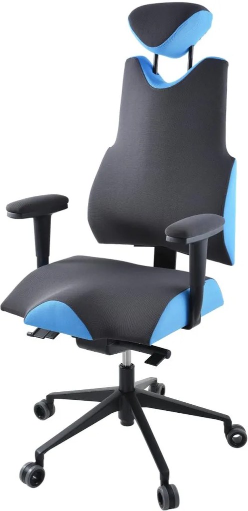 PROWORK Zdravotná ergonomická stolička THERAPIA BODY XL PRO 4210