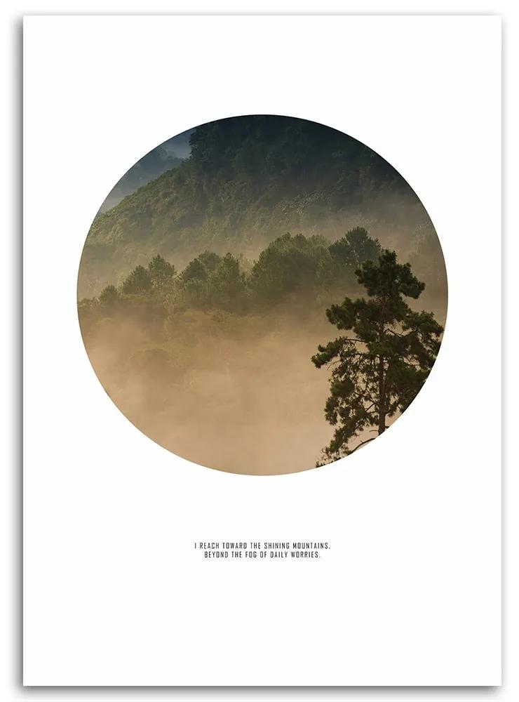 Obraz na plátně Mlha Lesní kruh Příroda - 60x90 cm