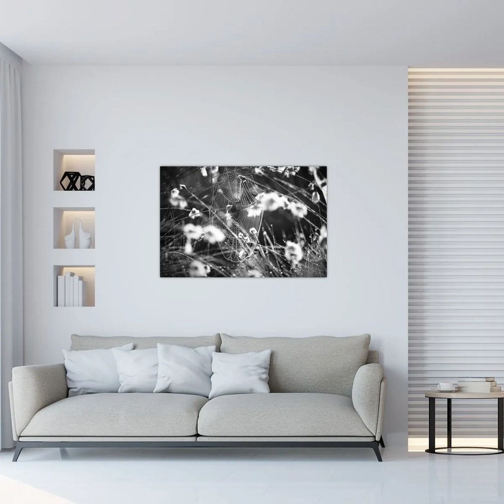 Obraz - Pavučina na lúke (90x60 cm)