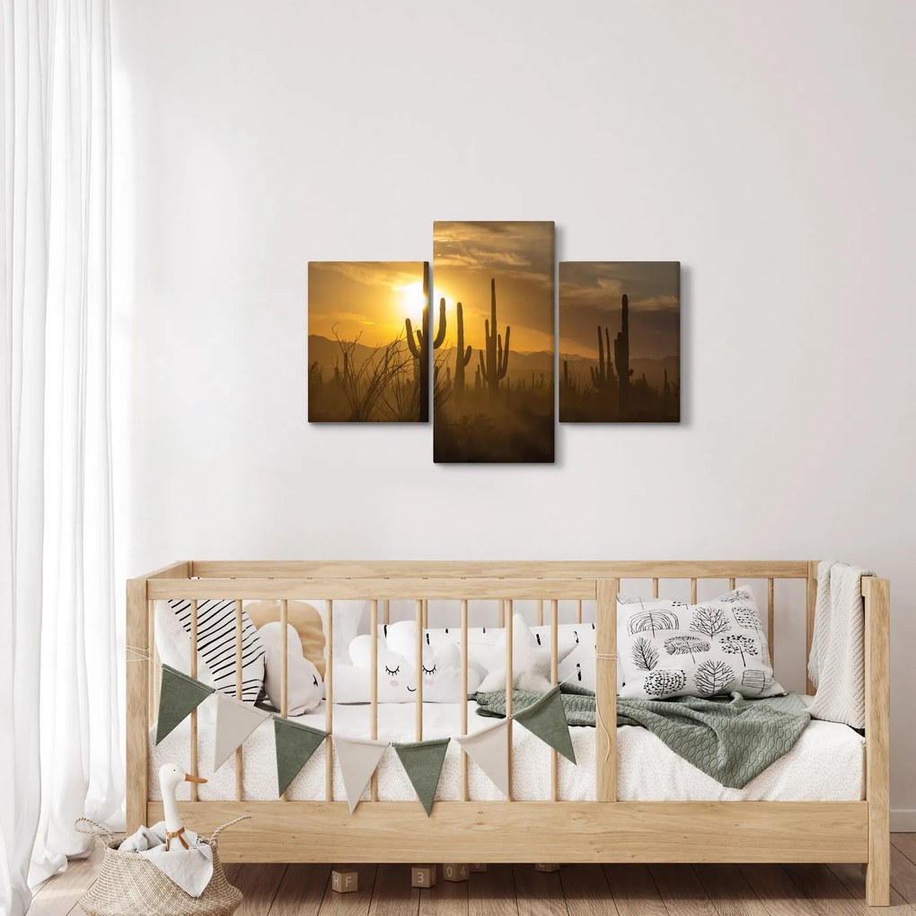 Obraz - Kaktusy Saguaro (90x60 cm)