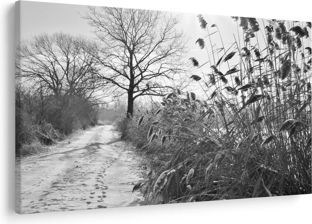 Obraz - Pole v zime (90x60 cm)