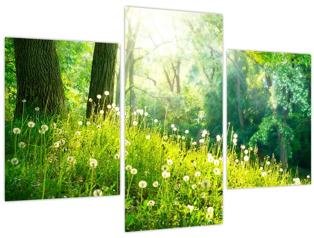 Obraz - Magická lúka plná púpav (90x60 cm)