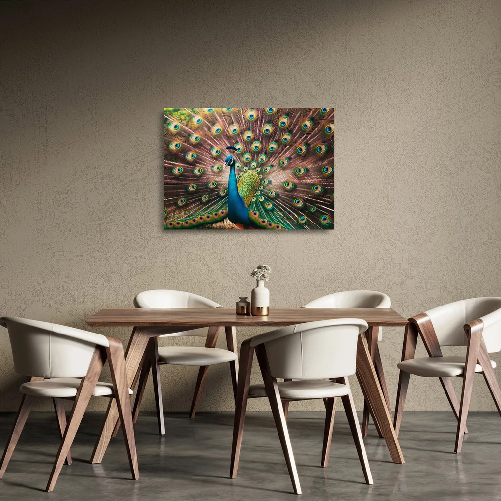 Sklenený obraz - Páv (70x50 cm)