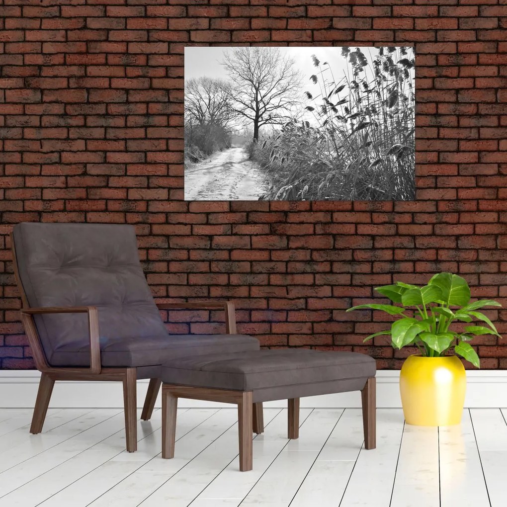 Obraz - Pole v zime (90x60 cm)