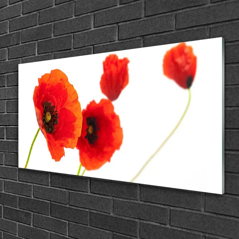 Obraz na skle Kvety rastlina 100x50 cm
