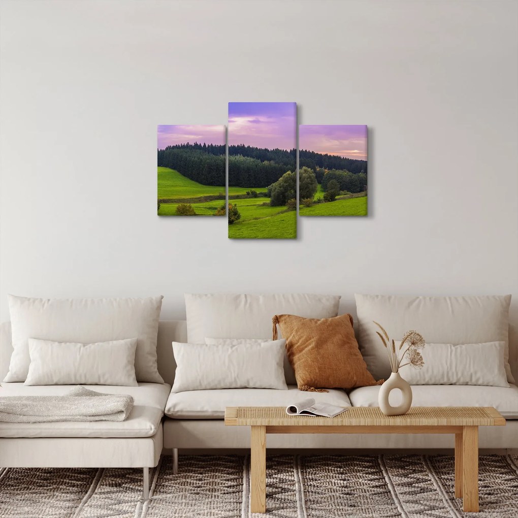 Obraz lúky (90x60 cm)