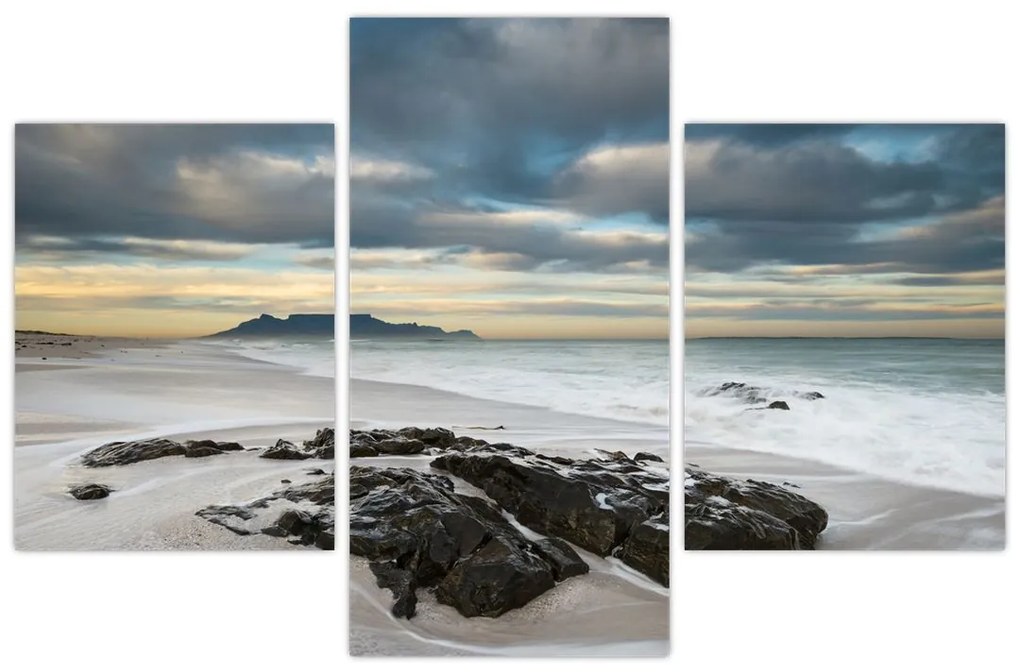 Obraz - Robben Island (90x60 cm)