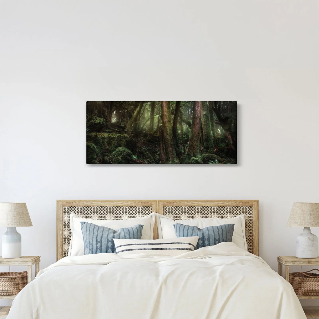 Obraz - Tajomný les (120x50 cm)