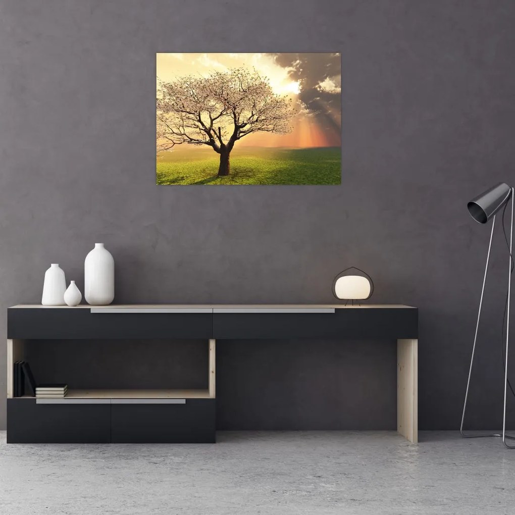 Obraz stromu na lúke (70x50 cm)