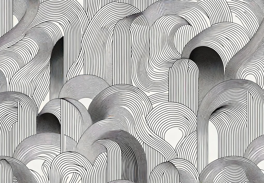 Fototapeta - Zmätok čiernych línií (147x102 cm)